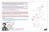 saa15 halmahera_thumb.gif